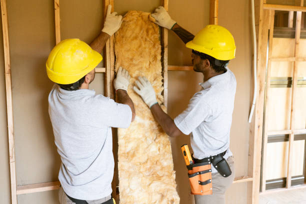 Best Batt and Roll Insulation  in Bishop, TX