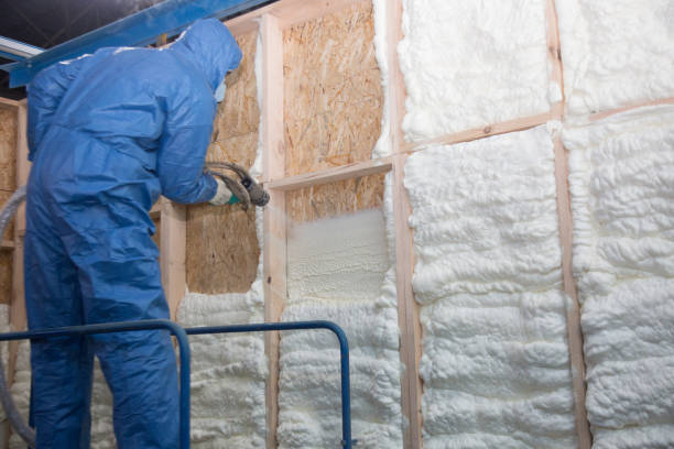 Best Garage Insulation  in Bishop, TX